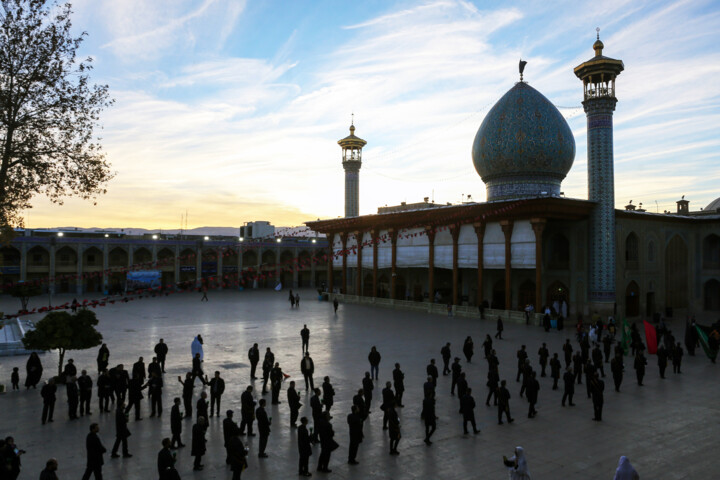 همبستگی ارگانها، لازمه اجرای طرح جامع بافت تاریخی شیراز