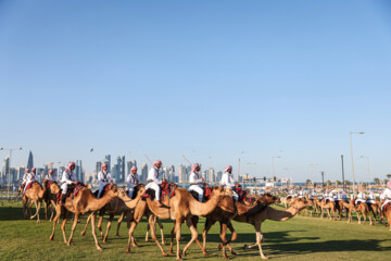 Foot : Doha hôte de la dix-huitième édition de la Coupe d'Asie de l'AFC