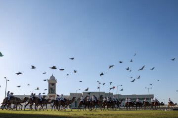 دوحه، میزبان هجدهمین دوره جام ملتهای آسیا