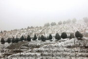 Téhéran s'habille de blanc avec la première chute de neige