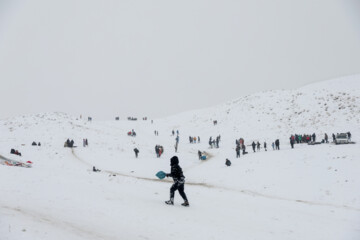 تفریحات خانوادگی در تلو
