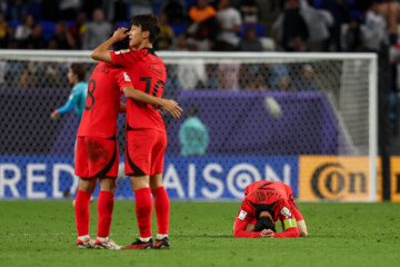 AFC Asian Cup: Australia vs. South Korea
