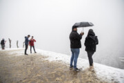 بارش برف سنگین در «جلگه رخ» تربت‌حیدریه پیش‌بینی شد