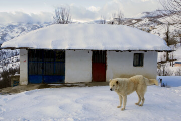 Zandaneh village in winter 