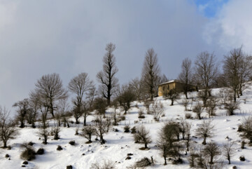 Zandaneh village in winter 