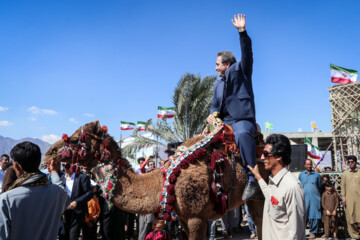 Se celebra el Festival de “Camello, oro de desierto” en Kerman