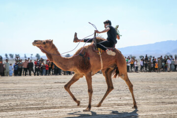 Un Festival intitulé « Chameau, l’or du désert » a eu lieu jeudi soir (9 février 2024) dans la ville de Qale Ganj. On compte plus de 20 000 chameaux au sud de Kerman, et cette région se classe au cinquième rang du pays en termes d'élevage de chameaux. (Photo : Fatemeh Eskandari »