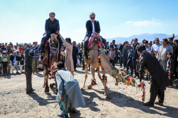 Un Festival intitulé « Chameau, l’or du désert » a eu lieu jeudi soir (9 février 2024) dans la ville de Qale Ganj. On compte plus de 20 000 chameaux au sud de Kerman, et cette région se classe au cinquième rang du pays en termes d'élevage de chameaux. (Photo : Fatemeh Eskandari »