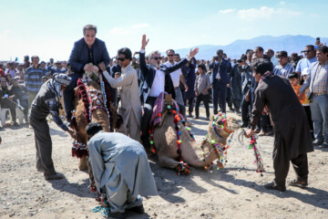 Se celebra el Festival de “Camello, oro de desierto” en Kerman