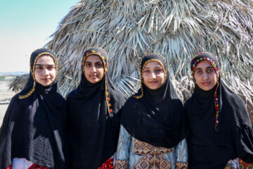 Se celebra el Festival de “Camello, oro de desierto” en Kerman
