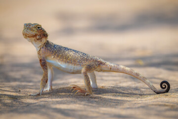 Naybandan National Park in photos