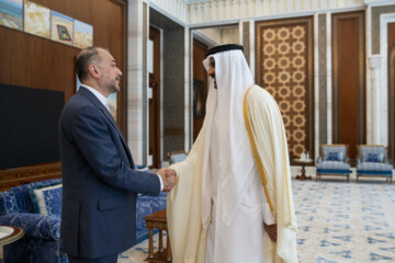 Iran FM meets Qatari Emir