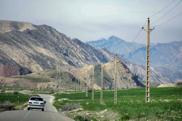 نذر گل نرگس