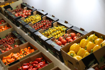 رشد ۲۳ درصدی صادرات محصولات غذایی و کشاورزی/ ۲۰ مقصد نخست محصولات کشاورزی