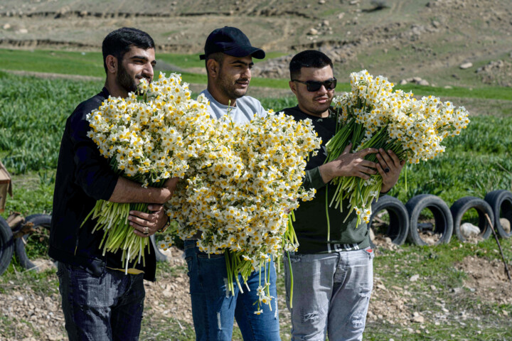 خودکفایی بخش کشاورزی کهگیلویه و بویراحمد؛ از شیلات تا تامین مرغ