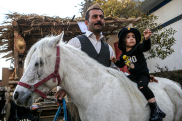 هفدهمین نمایشگاه بینالمللی گردشگری تهران