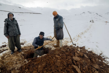 تلاش سیم بانان برای اتصال پایدار برق در روستاهای کردستان برق رسانی