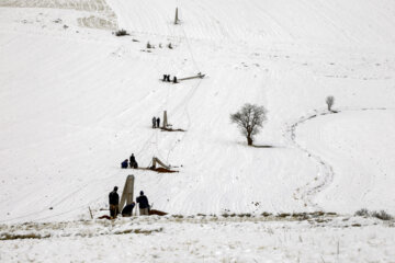 تلاش سیم بانان برای اتصال پایدار برق در روستاهای کردستان برق رسانی