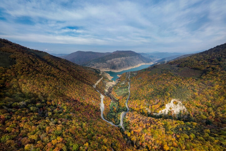 جنگلهای هیرکانی مازندران را بهتر بشناسیم