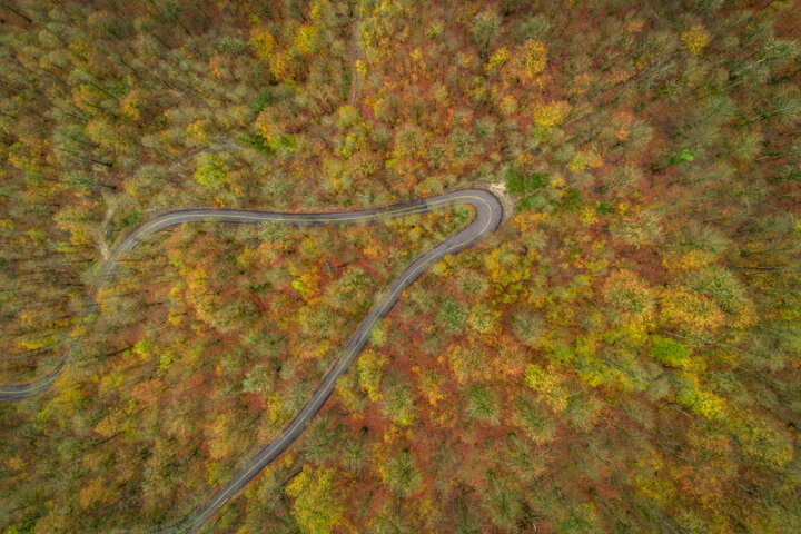 جنگلهای هیرکانی مازندران را بهتر بشناسیم