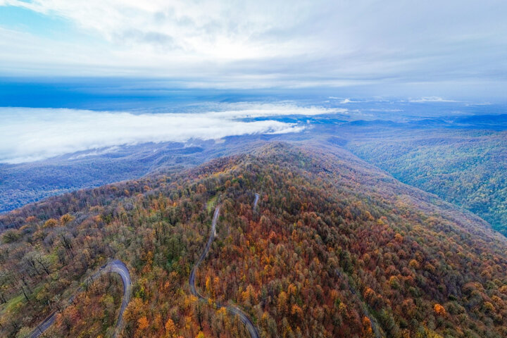 جنگلهای هیرکانی مازندران را بهتر بشناسیم