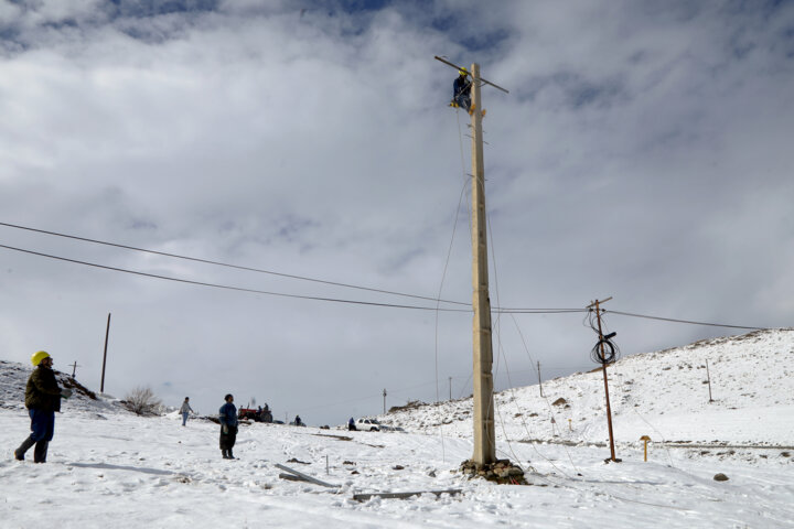 سیم بانان