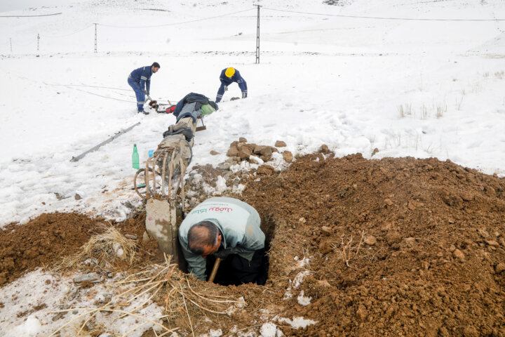 سیم بانان