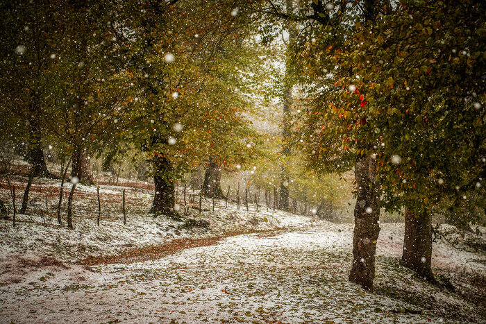 بارش پراکنده مهمان مازندرانی‌ها می‌شود