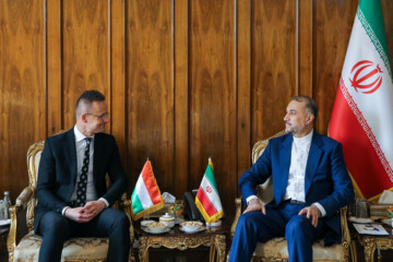 Iran, Hungary FMs meet in Tehran 