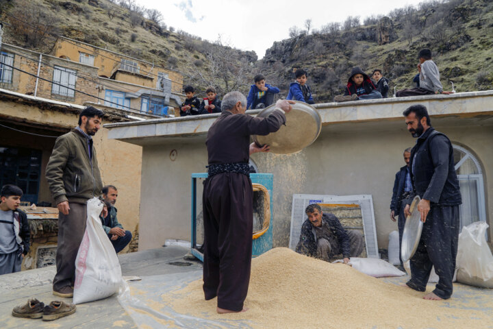 پخت کشکک در روستای رزاب