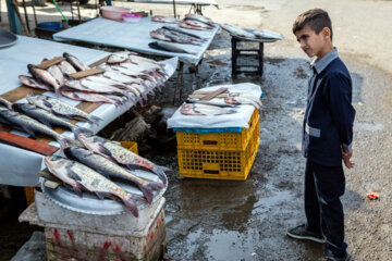 مردم ایران زمین؛ رضوانشهر
