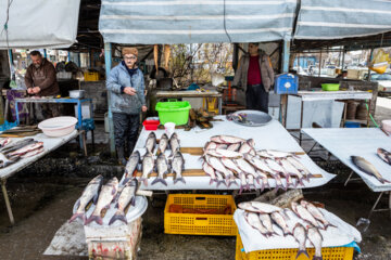 مردم ایران زمین؛ رضوانشهر