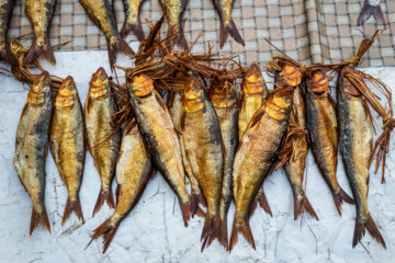 مردم ایران زمین؛ رضوانشهر