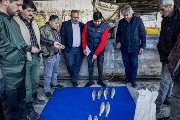 مردم ایران زمین؛ رضوانشهر