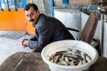 مردم ایران زمین؛ رضوانشهر
