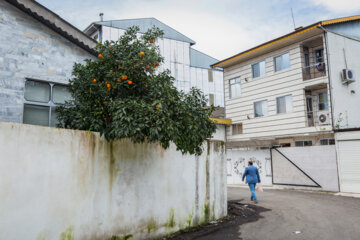 مردم ایران زمین؛ رضوانشهر