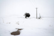 استمرار بارش برف وکولاک تا چهارشنبه در البرز