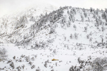 Snow landscapes from Iran’s Golestan