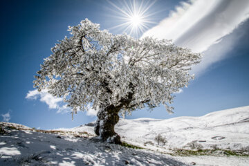 Snow landscapes from Iran’s Golestan