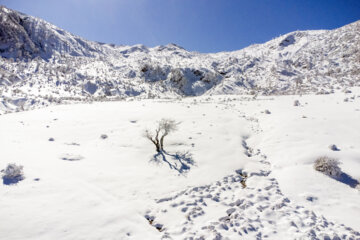 Snow landscapes from Iran’s Golestanن