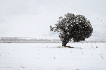 بارش برف در قزوین تا پایان هفته ادامه دارد