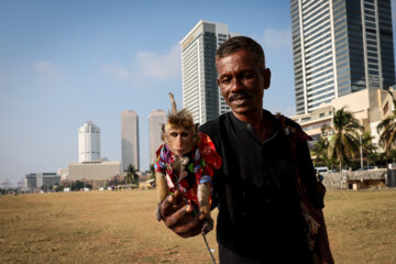 Roaming in Colombo