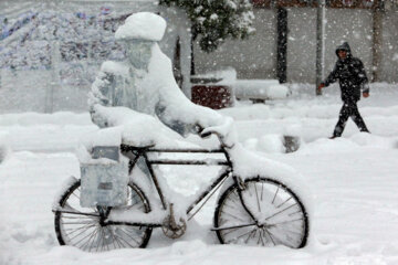 Snowfall in Rasht