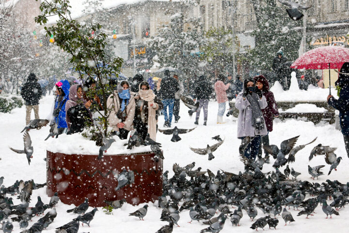 بارش برف در رشت