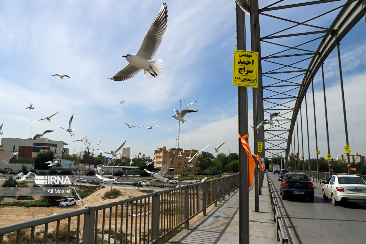 تبلیغات انتخابات - اهواز