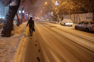 بارش برف در شمال تهران