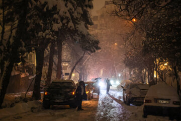 بارش برف در شمال تهران