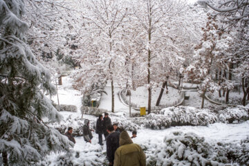 بارش برف در شهر تهران ۱۳۷۹
