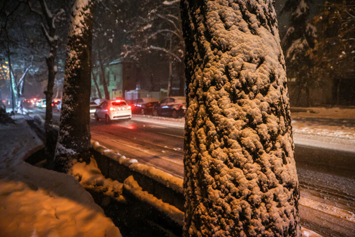 بارش برف در شمال تهران