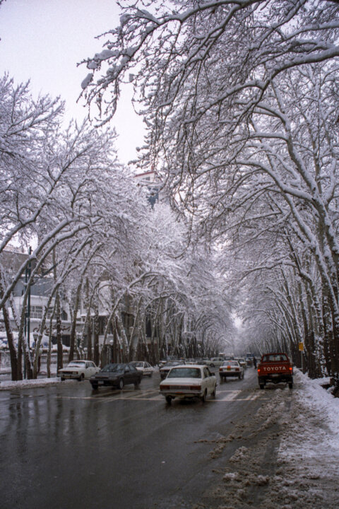 بارش برف در شهر تهران ۱۳۸۰